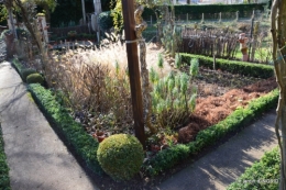 jardin en hiver,à Ciron 036.JPG
