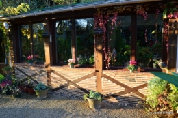 jardin serre bucher automne 101.JPG