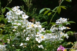 chez Fabien,tour du jardin,épouvantails 013.JPG
