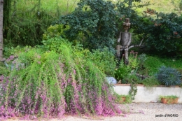 canal dentelles,Nernadette,fleurettes,apres tonte 249.JPG