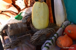 jardin,citrouille Issigeac,moulin Violette,Besse,Arya 036.JPG