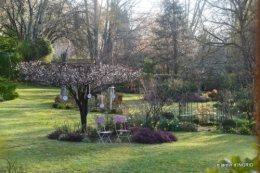 reportage,jardin tonte, 001.JPG