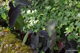 les jardins d'eau de Carsac 077.JPG