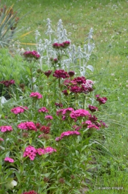 mai au jardin,les filles 041.JPG