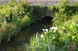 potager