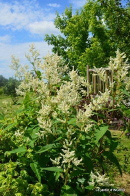 inondation,jardin,oeufs cygnes,chez Nathalie 058.JPG