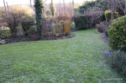 couronne,chevreuil,dernière tonte 036.JPG