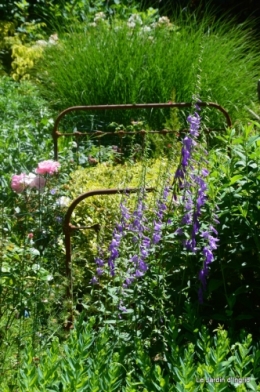 en juin jardin 005.JPG