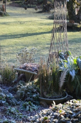 canal givre jardin 079.JPG