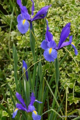 DSC_0013.JPG