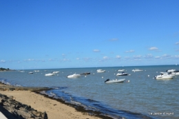 l ile de Ré,jardin automne 060.JPG