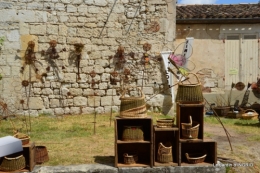 dahlias,jardin,puces st Avit Seigneur,Paniers Issigeac,Romane 208.JPG