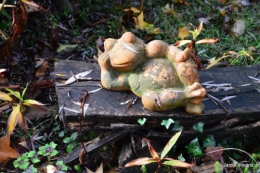 jardin serre bucher automne 021.JPG