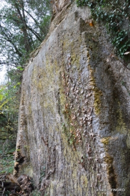 colline,crèche,taille 073.JPG