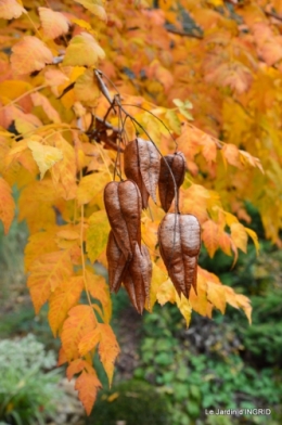 les arbres en automne,cabane 018.JPG