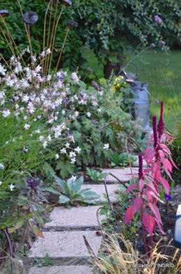 jardin ,bouquet 009.JPG
