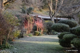 vieilles photos,givre,dentelles 116.JPG