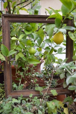 chez Maryse,pour tableaux,jardin 2013 032.JPG