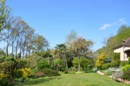 iris,arbre de judée,pivoine,Arya,viburnum,pts plants,cytise,akéb 039.JPG