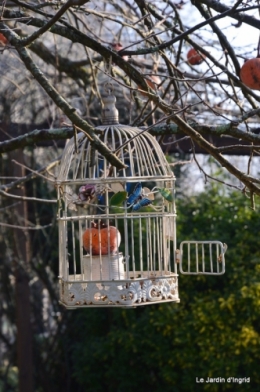 jardin givré,oiseaux 109.JPG