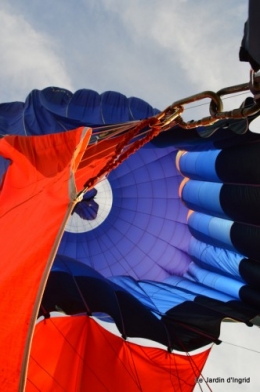 Vol mongolfière,compo fleurs grenouille 112.JPG