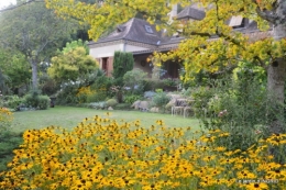 bouquet d ete,Plambouissin,grotte ,Erignac,Campagne,Julie 103.JPG