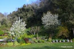 les dentelles,jardin avril 107.JPG