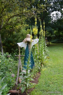 chez Fabien,le canal,jardin,hémérocalles,le souci,potager 059.JPG