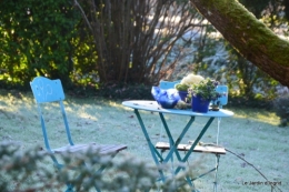givre,jardin,bouquet 032.JPG
