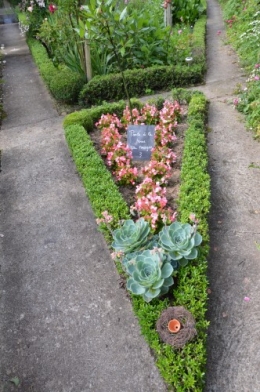 jardin,potager,roses,sauges 119.JPG
