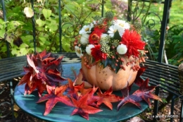 citrouille fleurie,décos jardin,automne 085.JPG