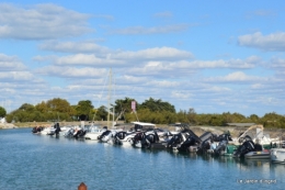 l ile de Ré,jardin automne 089.JPG