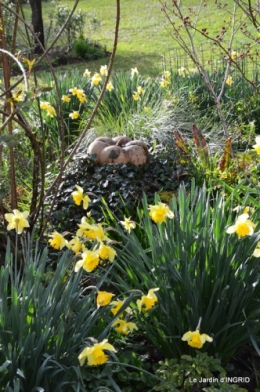les filles,les patons,jonquilles,jardin 081.JPG