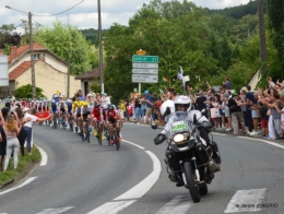 tour de France,jardinde Mme Peyrichou 138.JPG