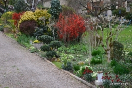 jardin en mars 079.JPG