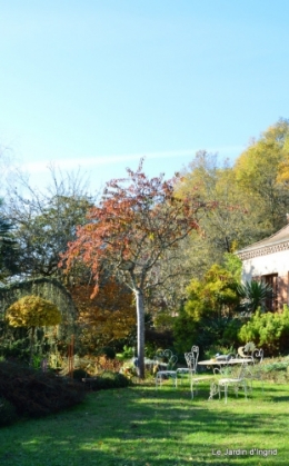 jardin automne ,petits roses 093.JPG