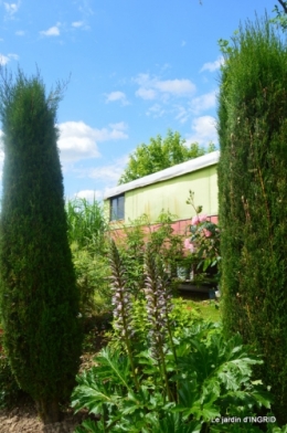 inondation,jardin,oeufs cygnes,chez Nathalie 062.JPG