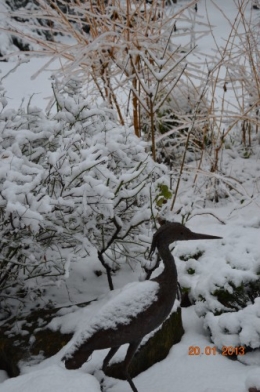 chat roi,neige 20.01,annivers.ARYA,casse 053.JPG
