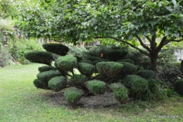 jardin,visites enfants 008.JPG