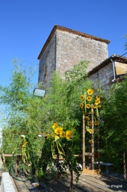 tournesols,podium,Lucas,jardin,Calès 052.JPG