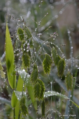 les sauges,gabarres,jardin 001.JPG