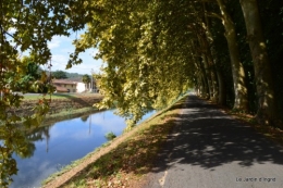 parapente,potager,kois,Lalinde,pastel,canal,choux,ipomée, 215.JPG