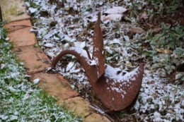 oiseaux première neige 035.JPG