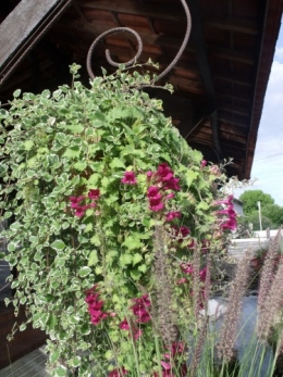Issigeac,les filles,escalade 207.JPG