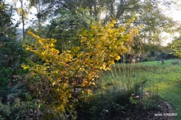 Jardin à l'automne 146.JPG