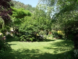 158.JPG