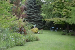 tour du jardin en juin 112.JPG