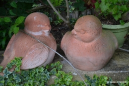 jardin,chez Bernadette,puces,cygnes,pluie 183.JPG