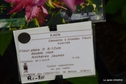 Fouleix,marguerites,hostas 080.JPG
