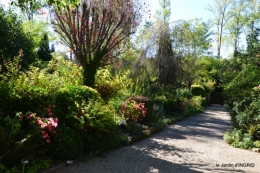 citadelle Blaye,bouquet,jardin,dahlias 101.JPG